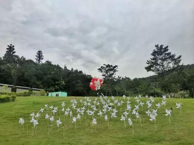 湖边草地